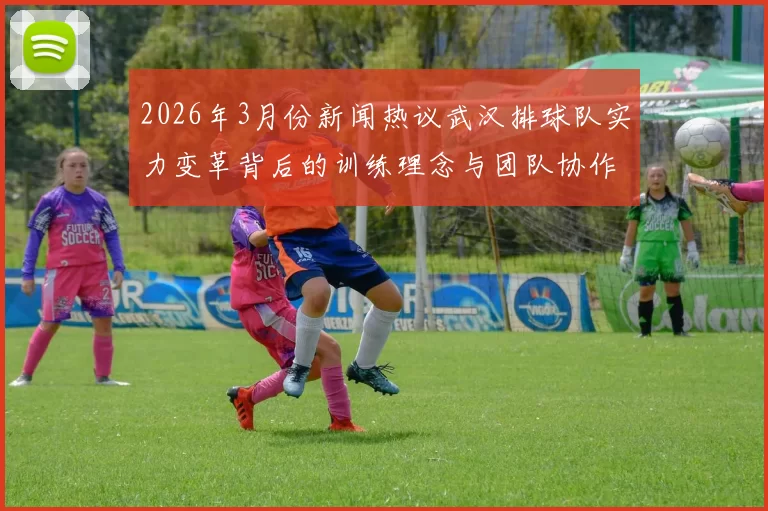 2026年3月份新闻热议武汉排球队实力变革背后的训练理念与团队协作新策略